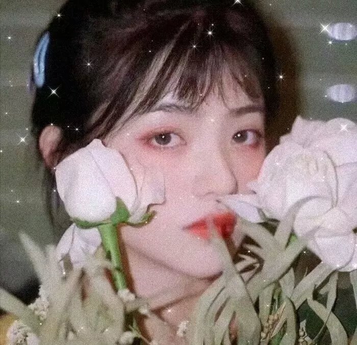 污泥中的纯情